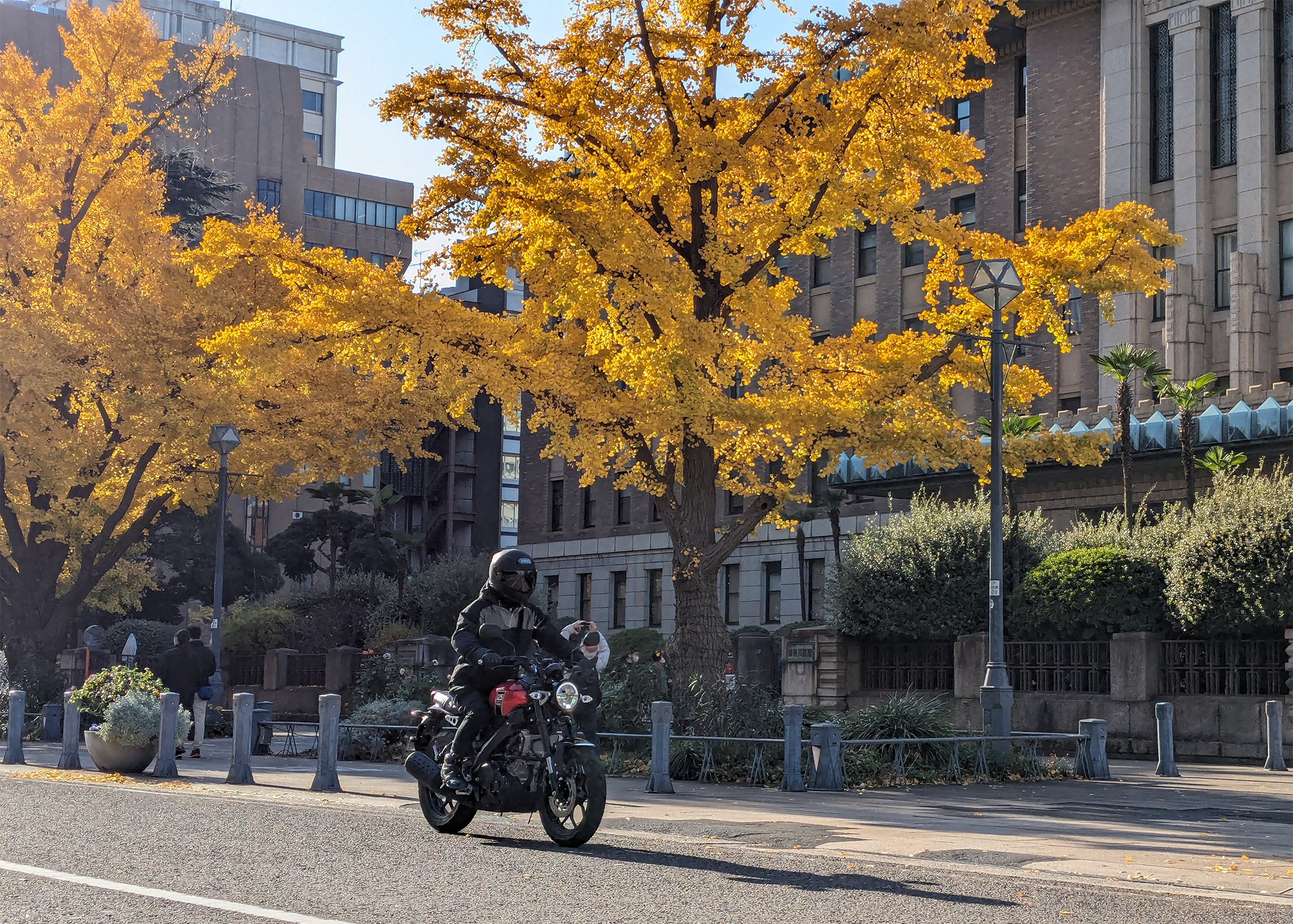 そして、もしまだヤマハ バイクレンタルの会員登録がお済みでない方に朗報です！