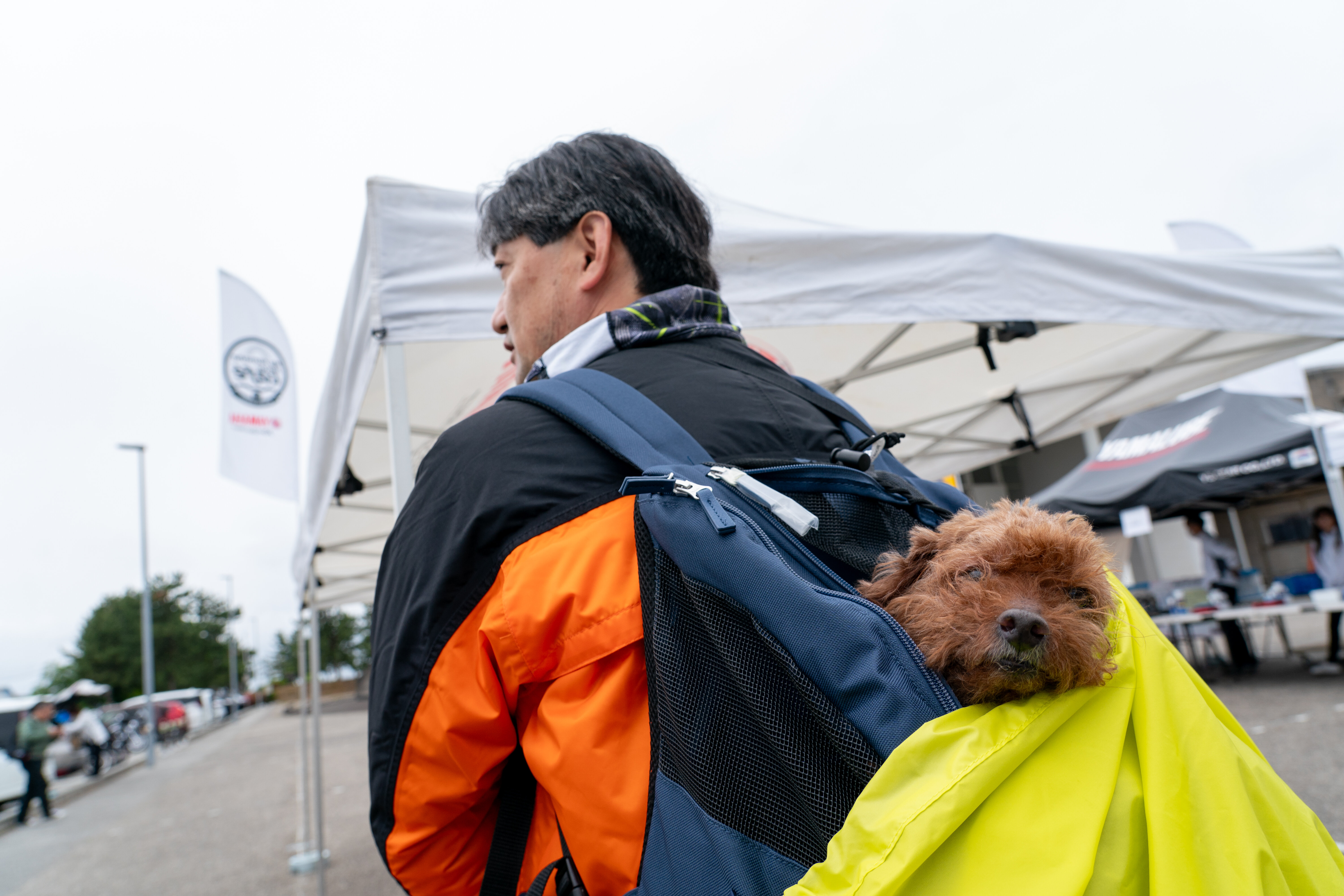 お父さんは愛犬連れでした。