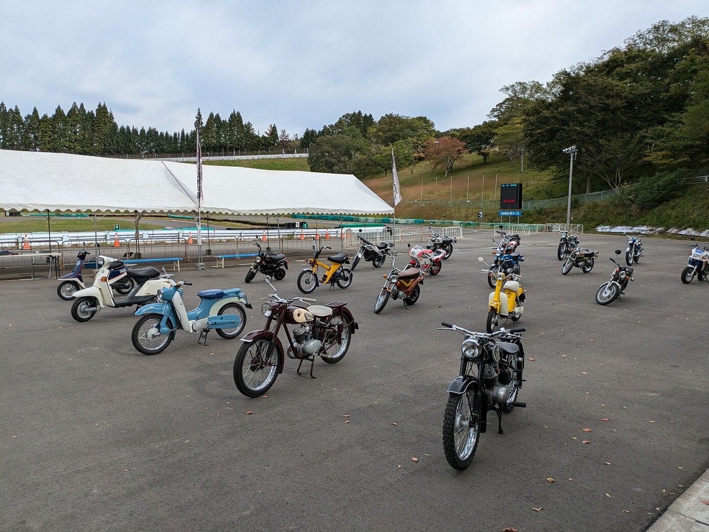 コミュニケーションプラザに所蔵されている歴史車両の数々は、