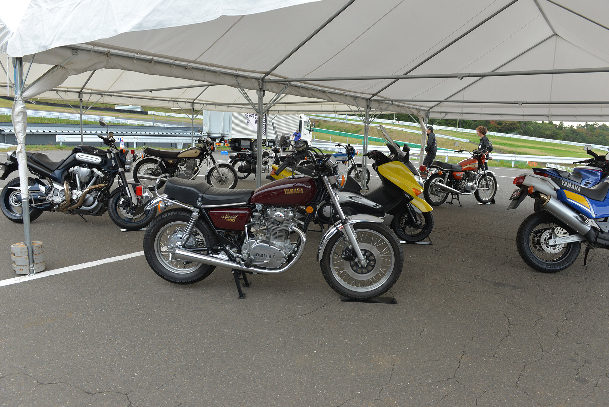 さまざまな年代の市販モデルや