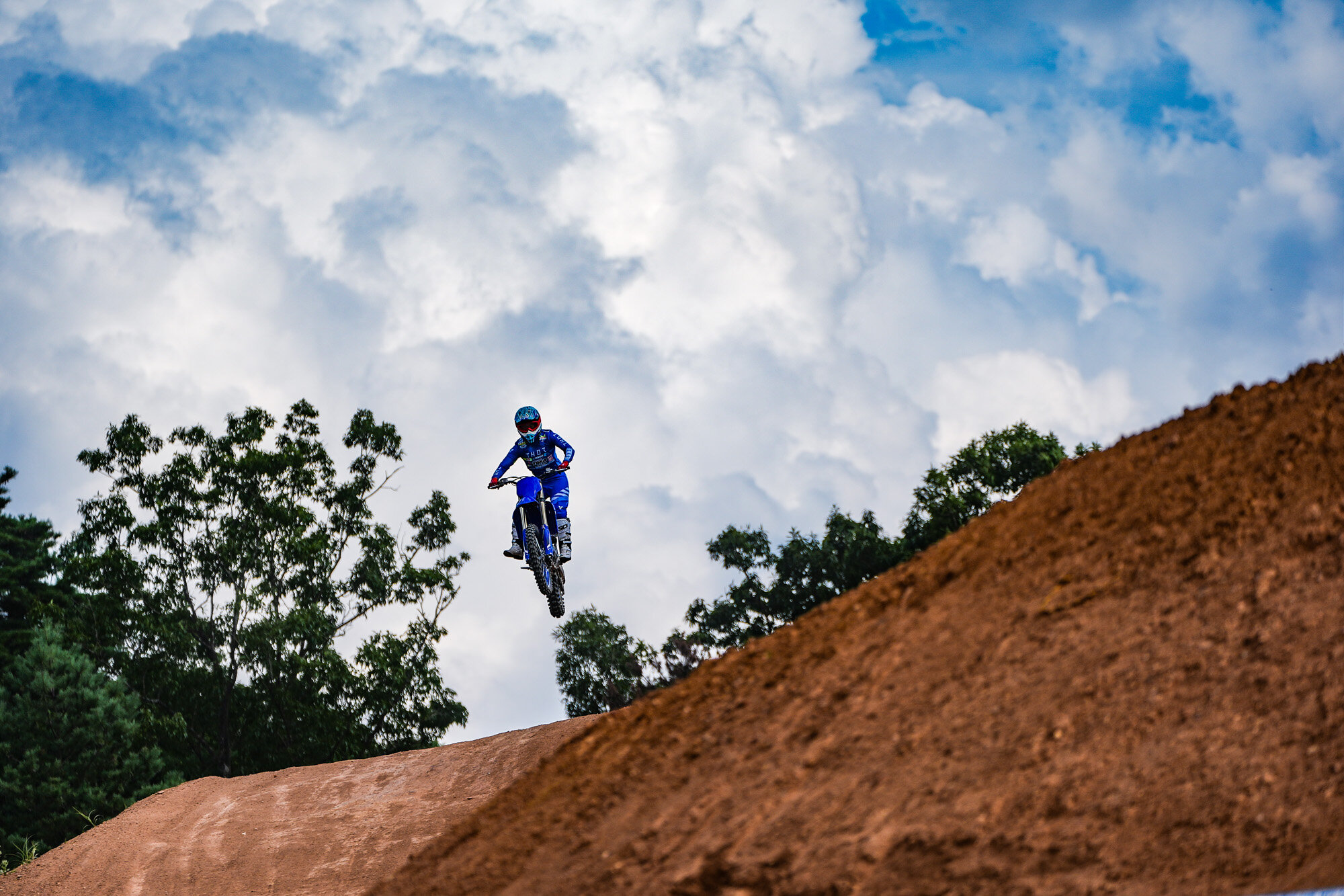 きっと新しい相棒が見つかるはずです