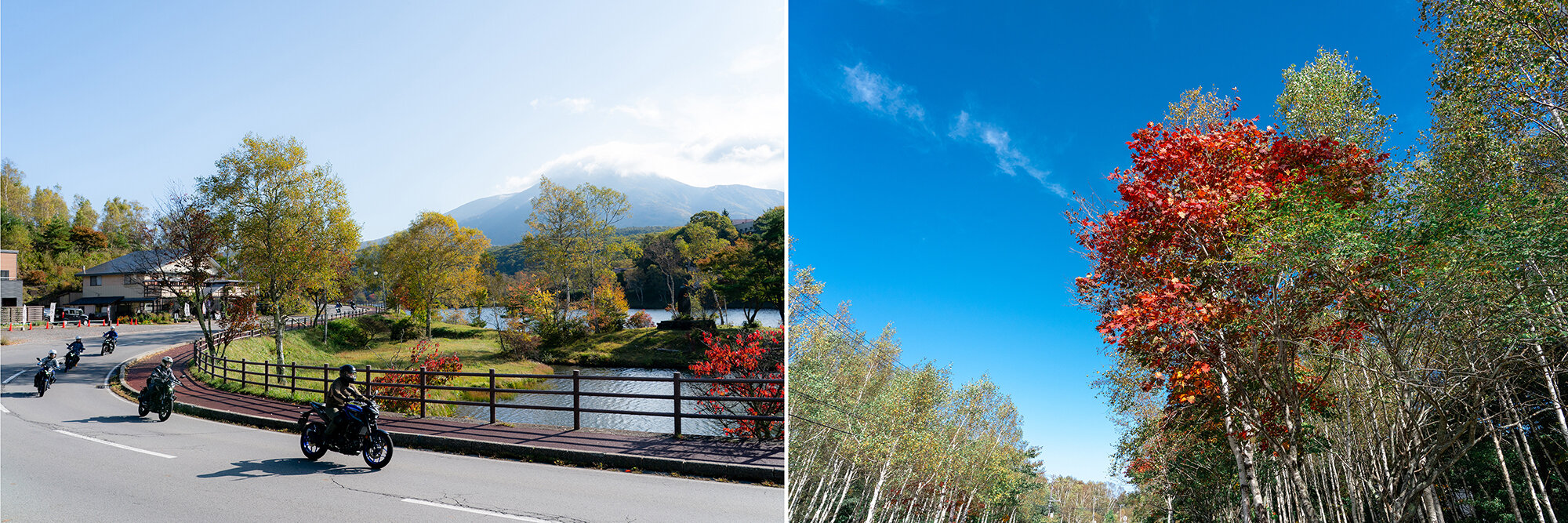 市街地とは異なる紅葉を目にし 