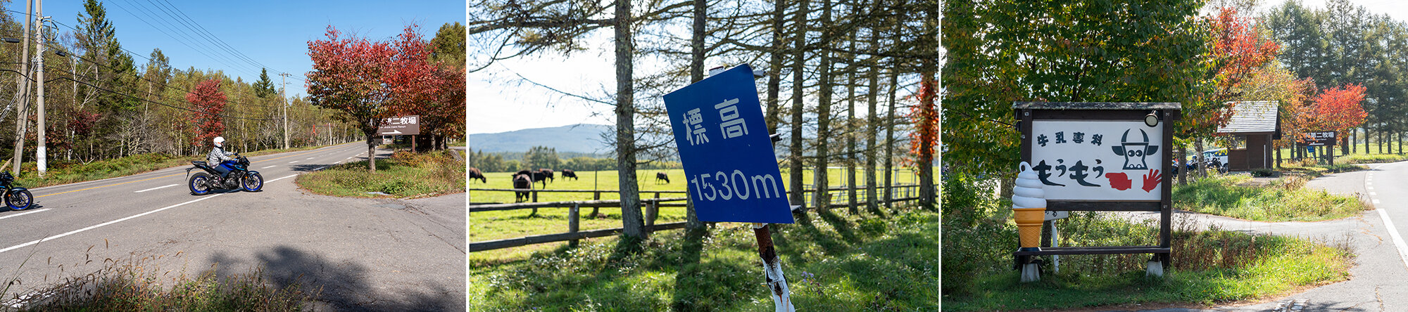 スタートから40km弱、1時間ほど走ったところで、標高1,530mに位置する牧場に隣接した売店 