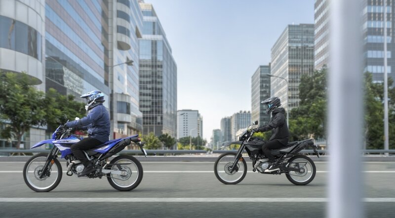 本格派もビギナーも遊べる1台に仕上がった