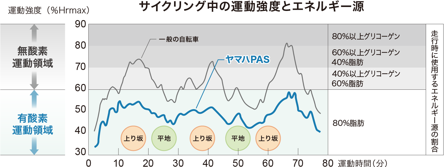 サイクリング中の運動強度とエネルギー源のグラフ