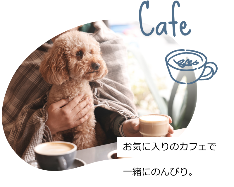 Cafe：お気に入りのカフェで一緒にのんびり。