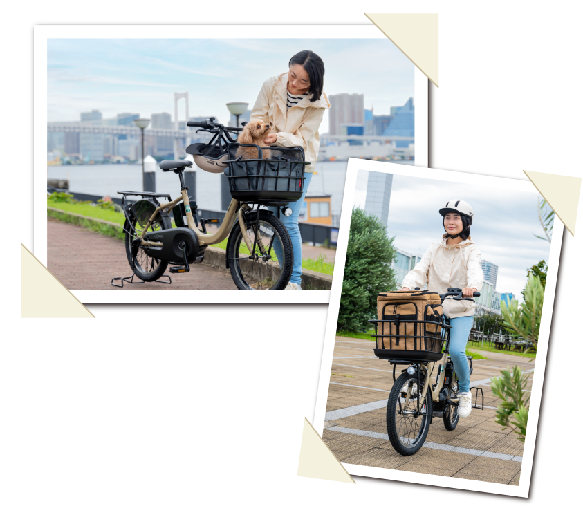 愛犬とPAS Carigoでお出かけする様子