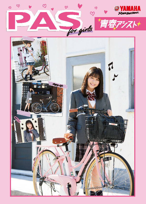 ブリヂストン 自転車 カタログ pdf 2019年