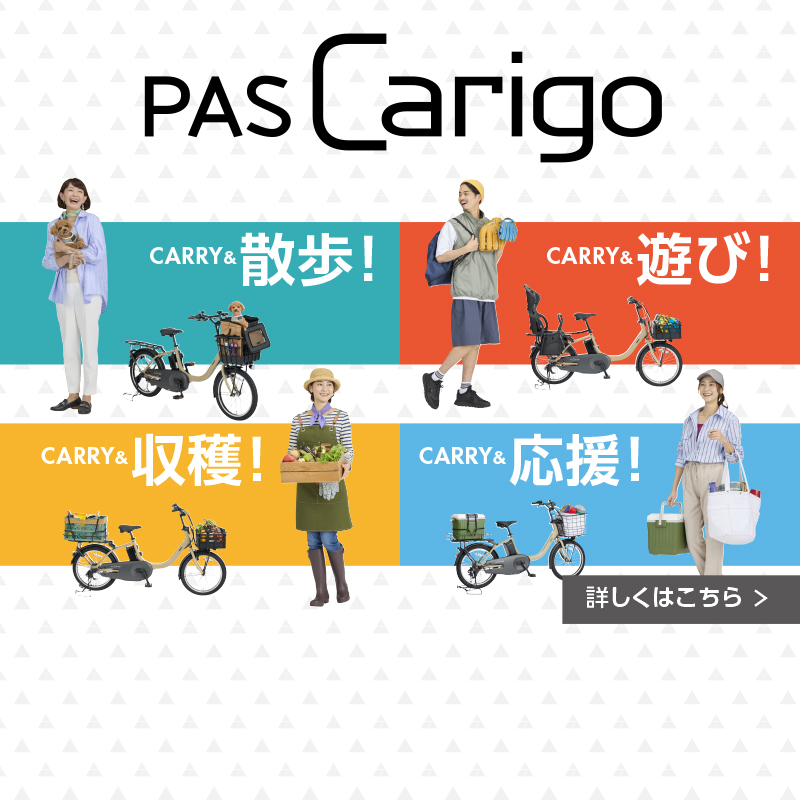 電動アシスト自転車 PAS/YPJ | ヤマハ発動機