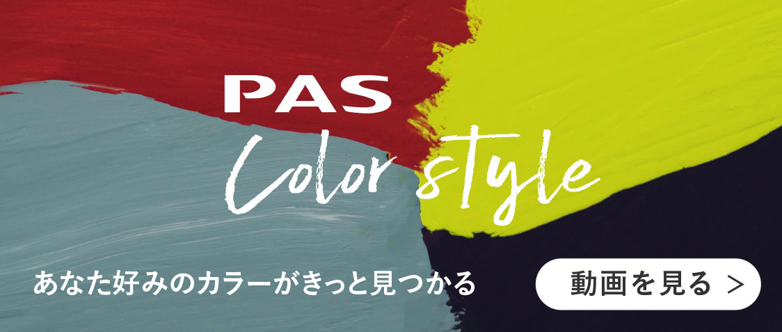 PAS COLOR STYLE