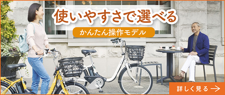 PAS SION U スペシャルサイト