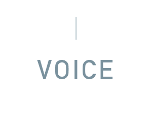 VOICE