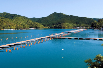 浦城マリーナ（宮崎）