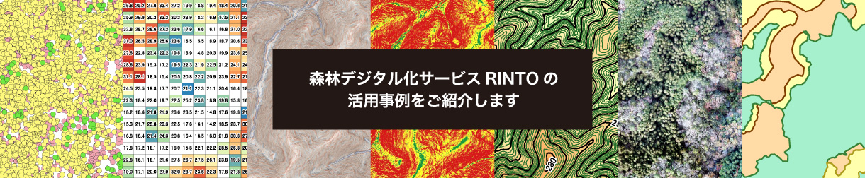 RINTO