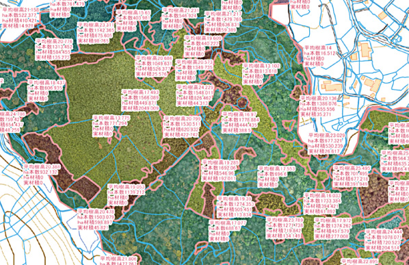 ①集約化施業の計画