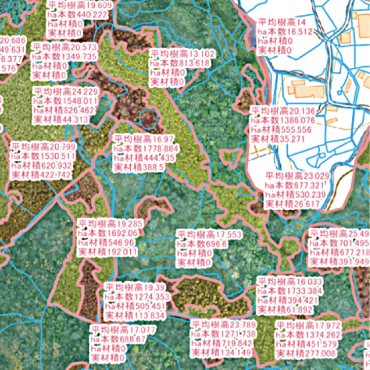 導入事例：立木・地形データの利活用