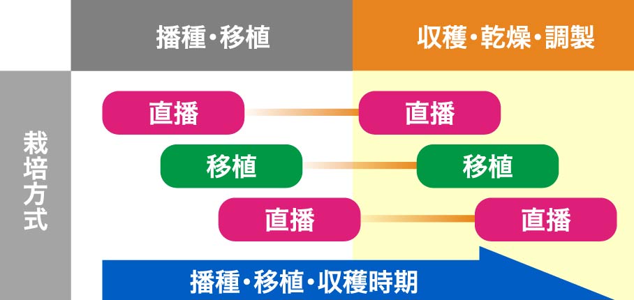 作期の分散・拡大